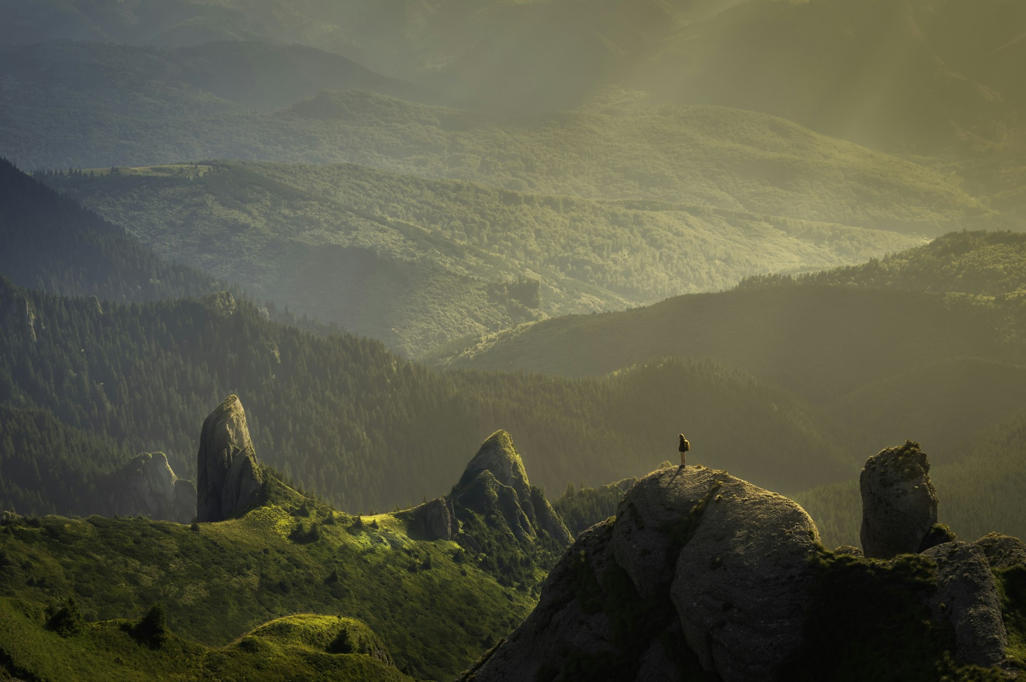 New Zealand work visa - landscape